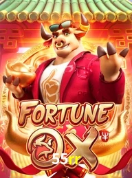 55RR.COM